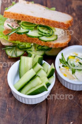 fresh vegetarian sandwich with garlic cheese dip salad