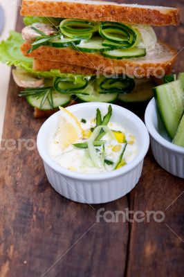 fresh vegetarian sandwich with garlic cheese dip salad