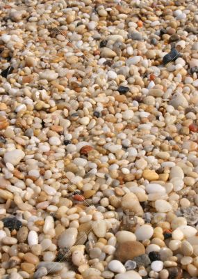 Pebbles on the Beach