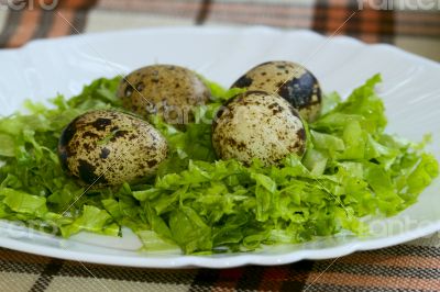 Four quail eggs decorated with greens on the plate.