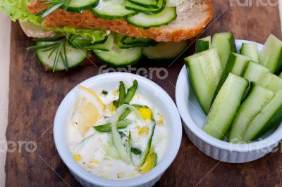 fresh vegetarian sandwich with garlic cheese dip salad
