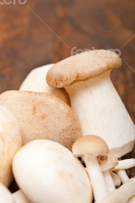 fresh wild mushrooms