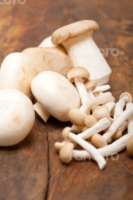 fresh wild mushrooms
