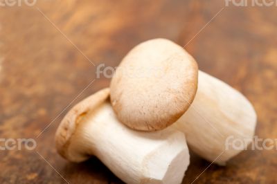 fresh wild mushrooms