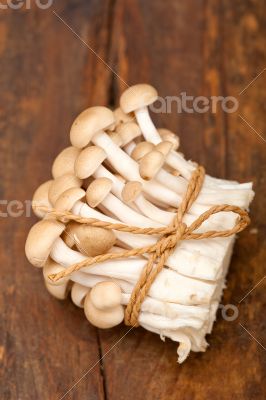 fresh wild mushrooms