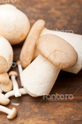 fresh wild mushrooms