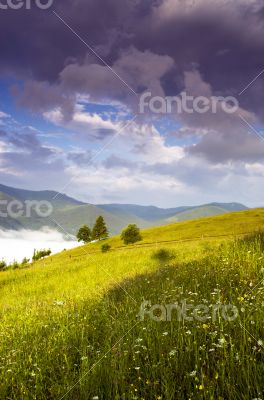 evening mountain plateau landscape (Carpathian, Ukraine) 