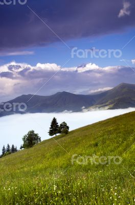 evening mountain plateau landscape (Carpathian, Ukraine) 