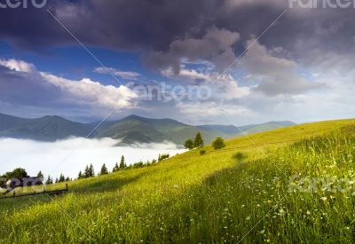 evening mountain plateau landscape (Carpathian, Ukraine) 
