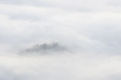 evening mountain plateau landscape (Carpathian, Ukraine) 