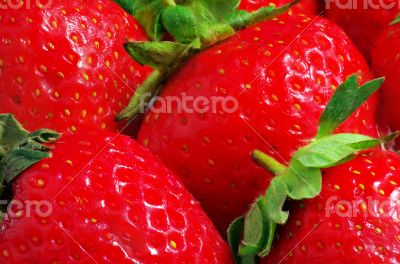 Fresh Strawberry Background 