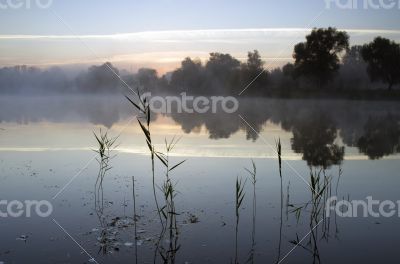 Foggy morning landscape in the autumn park near the lake. Vintag