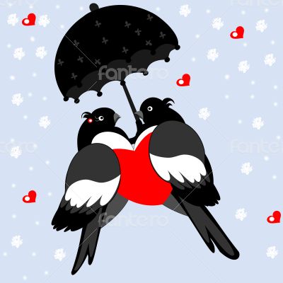 A pair of lovers bullfinches with heart 