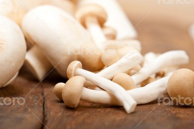 fresh wild mushrooms