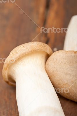 fresh wild mushrooms