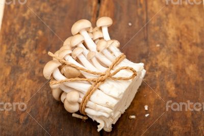 fresh wild mushrooms