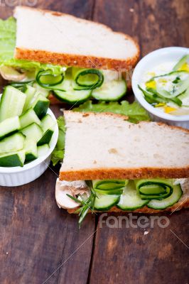 fresh vegetarian sandwich with garlic cheese dip salad