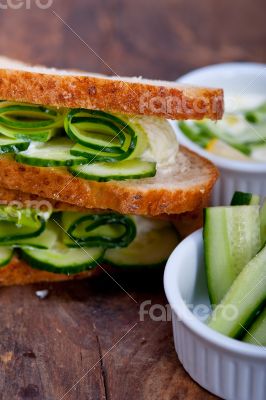 fresh vegetarian sandwich with garlic cheese dip salad
