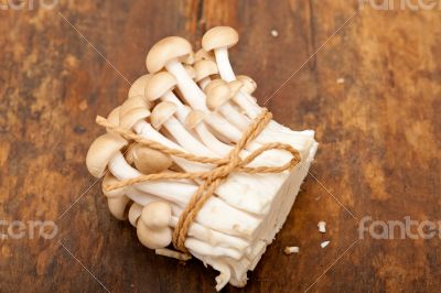fresh wild mushrooms