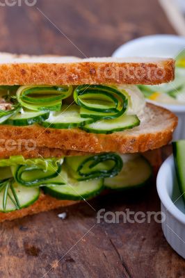 fresh vegetarian sandwich with garlic cheese dip salad