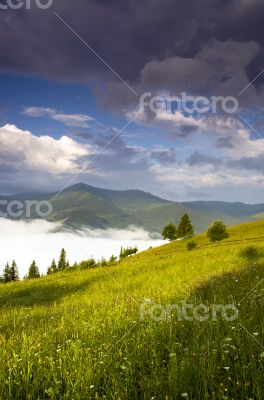 evening mountain plateau landscape (Carpathian, Ukraine)