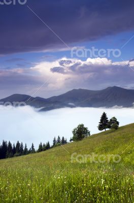 evening mountain plateau landscape (Carpathian, Ukraine)