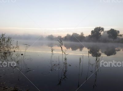 Foggy morning landscape in the autumn park near the lake. Vintag
