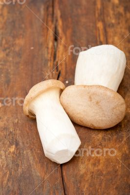 fresh wild mushrooms