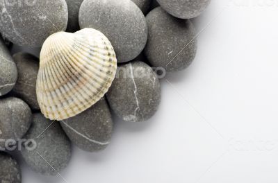 Natural spa elements- seashell with starshell and stones on whit