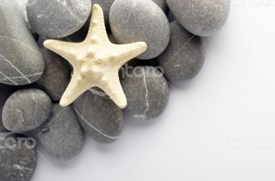 Natural spa elements- seashell with starshell and stones on whit