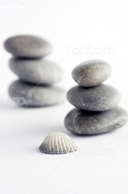 Natural spa elements- seashell with starshell and stones on whit