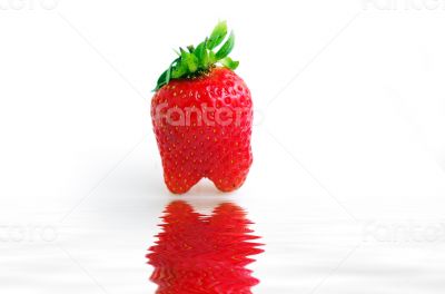 Strawberry isolated on white background 