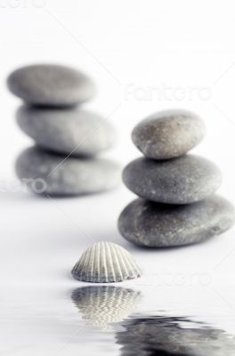 Natural spa elements- seashell with starshell and stones on whit