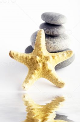 pile of stones and sea star closeup on white background