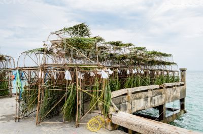 Tool for coastal fishery