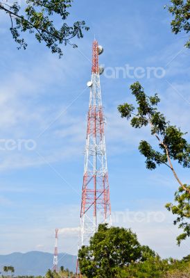 Tower relay signal and tree