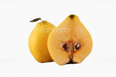 Quince Cut 