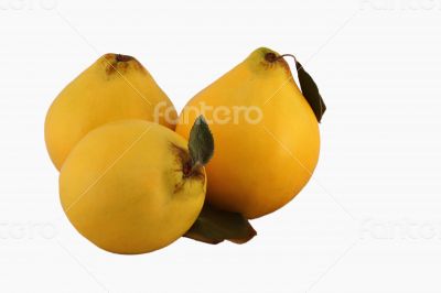 Three Quince white background