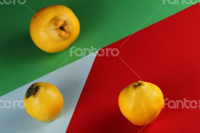 Quince Color