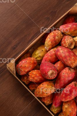 Nopal Macro on the wood 
