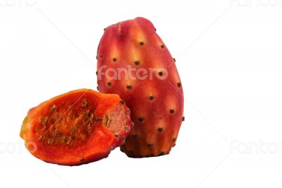 Nopal cut cactus white background