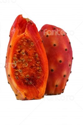 Nopal cut cactus white background