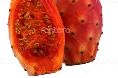 Nopal cut cactus white background