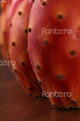 Nopal Macro on the wood