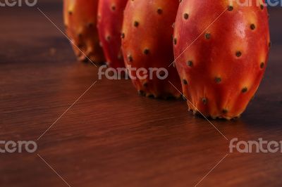 Nopal on the wood