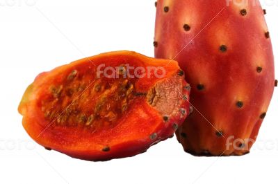 Nopal Macro Cut