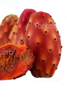 Nopal cut cactus white background