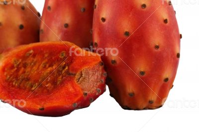 Nopal cut cactus white background