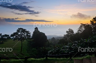 Landscape sea of mist on sunrise view from high mountain