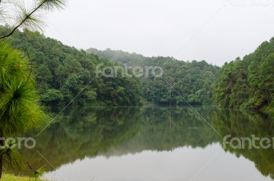 Nature landscape at dawn of lakes and pine forests